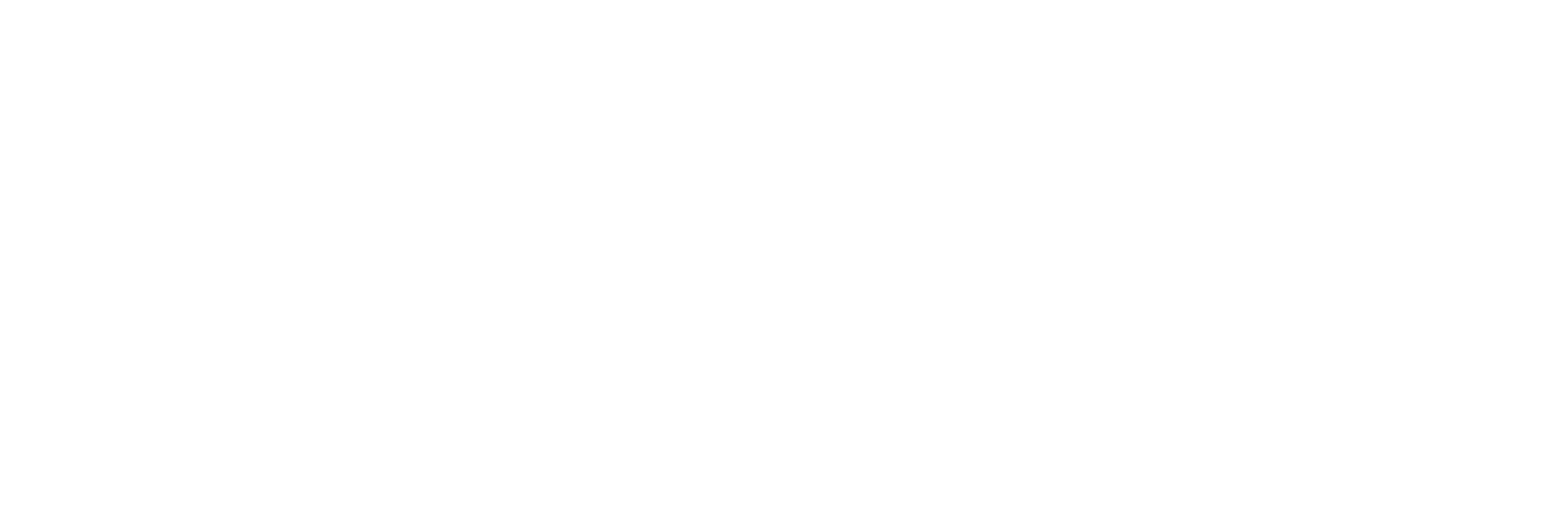 .K.I.S.S. Software