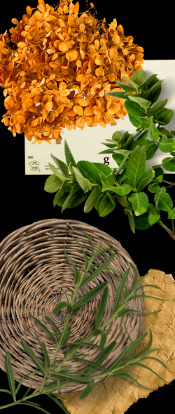 Основные SMM-тренды в 2025 году