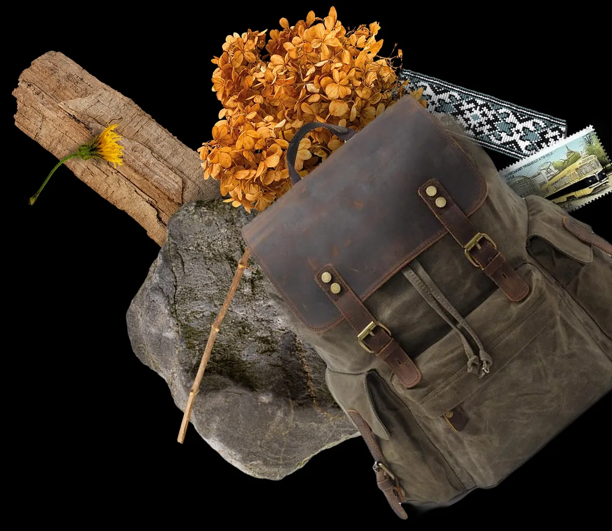 portfolio/-bg